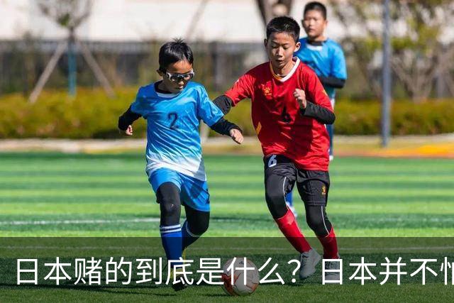 日本赌的到底是什么？日本并不怕中国制裁，也不怕经济下滑、航班取消；它压根不是在赌，而是早已把最坏的结果都盘算了一遍