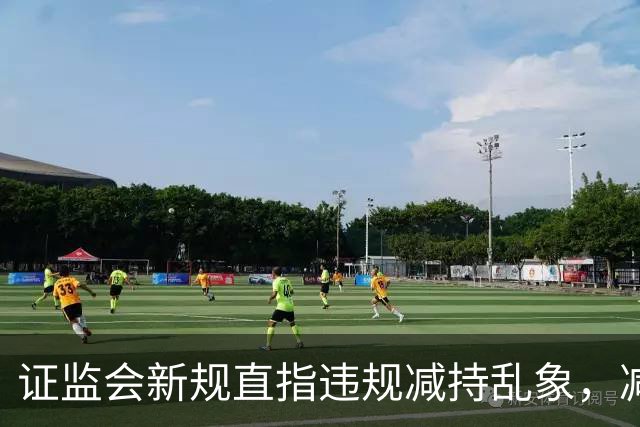 证监会新规直指违规减持乱象，减持比例超5%、金额超5亿将被重罚